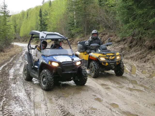 Morning tour