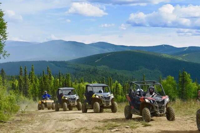 SxS on forest trail