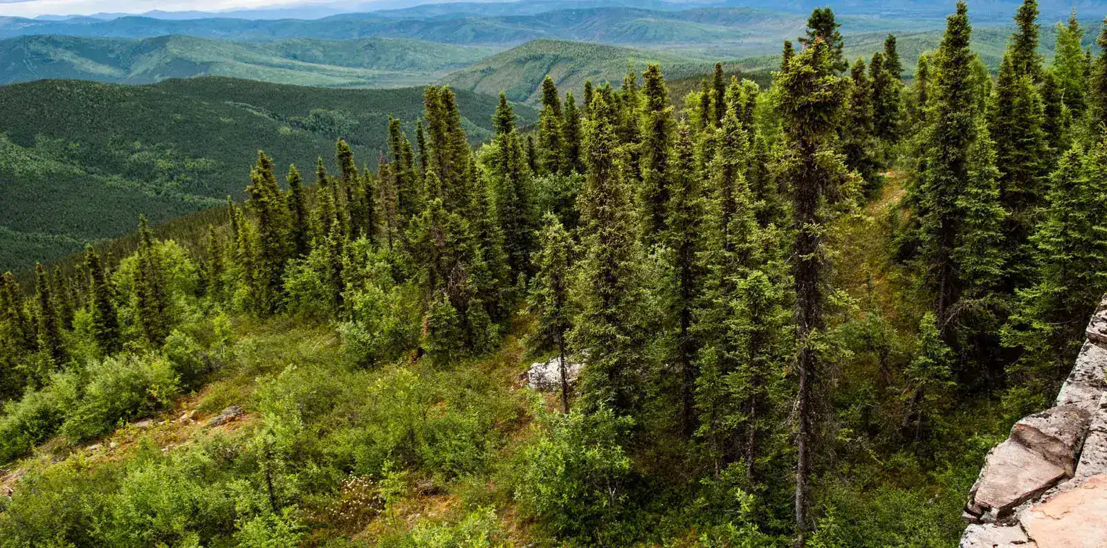 Side-by-side adventure on a scenic Alaskan trail